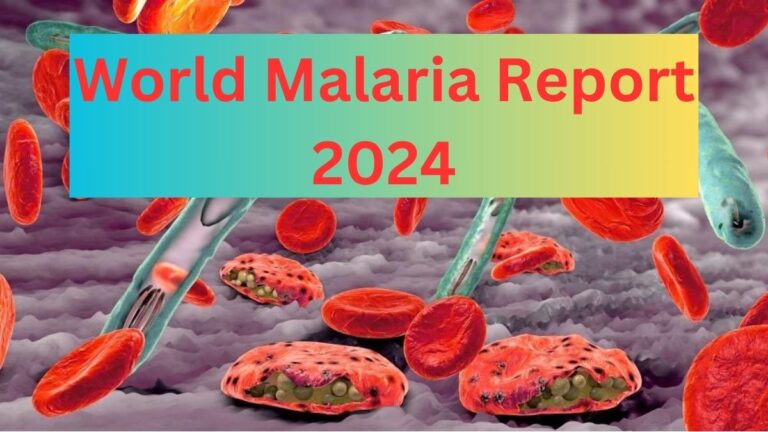 World Malaria Report 2024